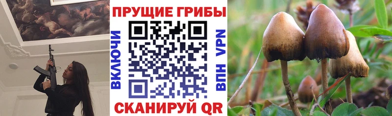 Галлюциногенные грибы Magic Shrooms Сосновый Бор