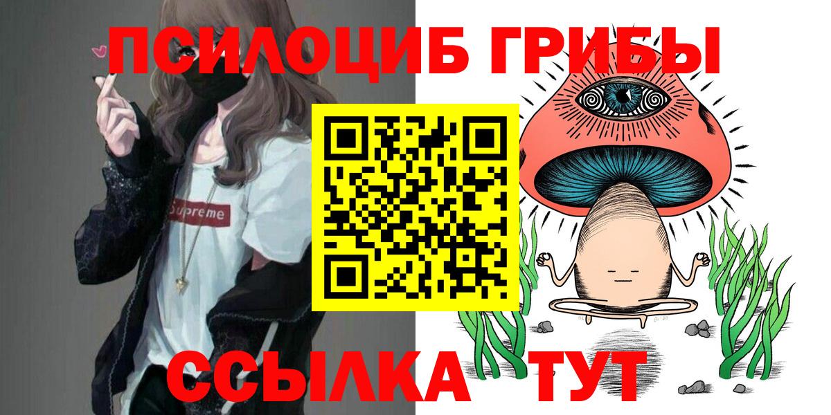 Псилоцибиновые грибы прущие грибы  Галлюциногенные грибы мицелий  Сосновый Бор  Вход с VPN 